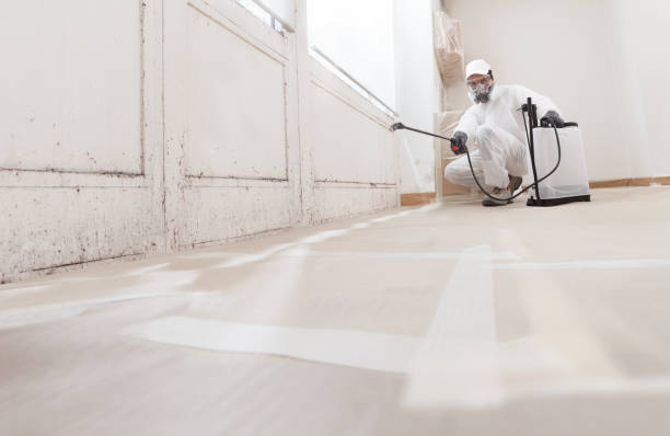24/7 Emergency Crawl Space Mold Removal experts in Exton, PA
