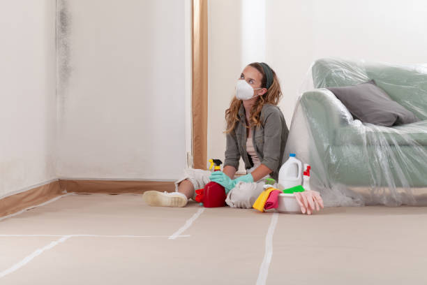 Reliable Crawl Space Mold Removal contractor in Exton, PA by WQB Mold Removal