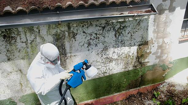 Top rated local Crawl Space Mold Removal specialists in Exton, PA